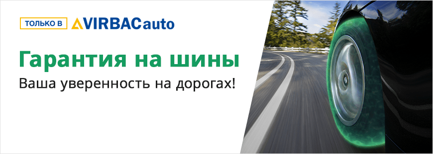 Вирбак авто шины зимние