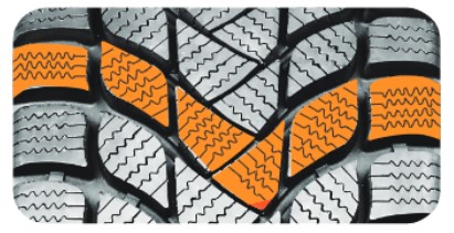 Delinte Winter WD6-1.jpg