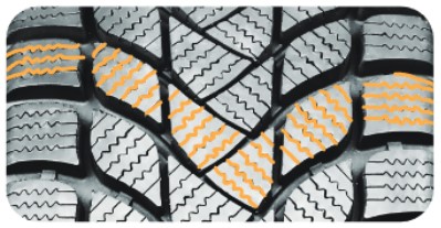 Delinte Winter WD6-3.jpg