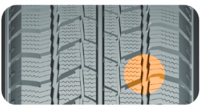 Delinte Winter WD2-4.jpg