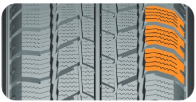 Delinte Winter WD2-2.jpg