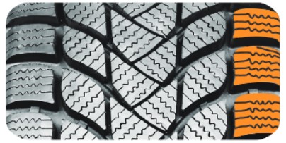 Delinte Winter WD6-4.jpg