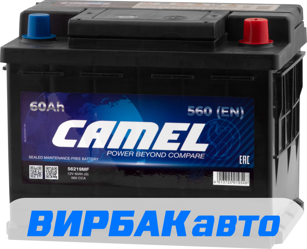 Купить Аккумулятор CAMEL 60 Ач 560 А обратная полярность, клемма ...