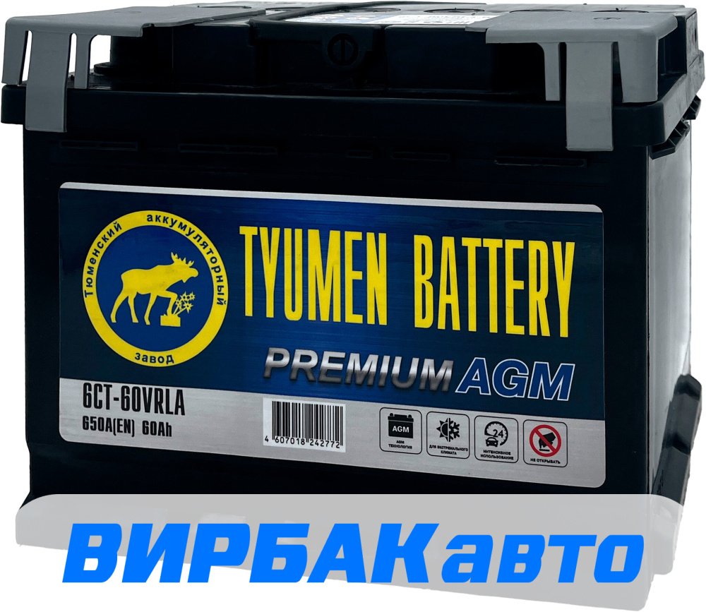 Купить Аккумулятор TYUMEN BATTERY Premium 60 Ач 650 А обратная ...
